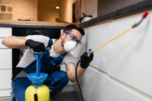 Best Residential Pest Control  in Follansbee, WV