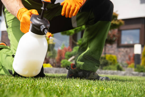 Best Best Pest Control Companies  in Follansbee, WV