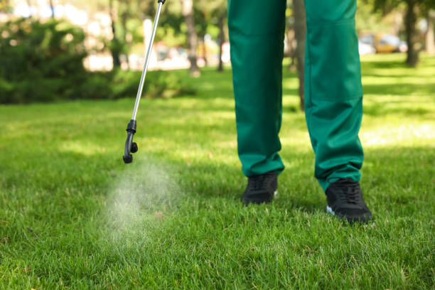 Best Wasp Removal Services  in Follansbee, WV