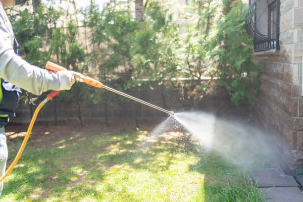 Bird Control in Follansbee, WV