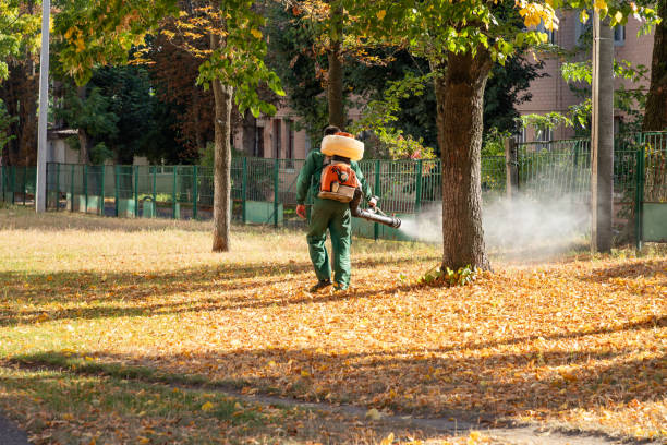 Best Mosquito Control Services  in Follansbee, WV