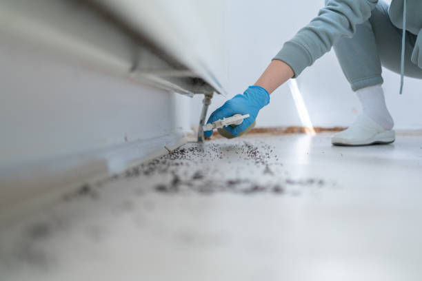 Best Bed Bug Extermination  in Follansbee, WV