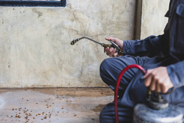 Best Best Pest Control Companies  in Follansbee, WV