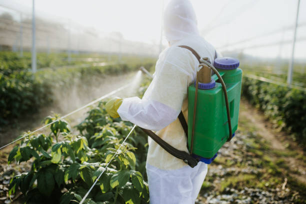 Best Pest Removal Services  in Follansbee, WV